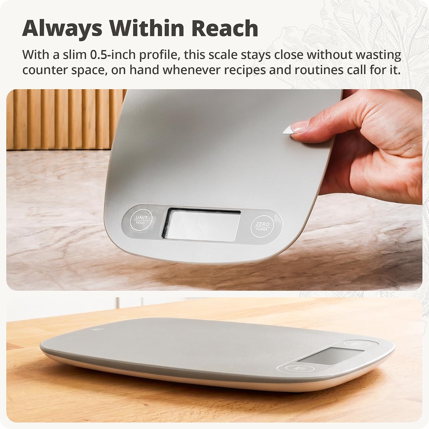 Báscula de Cocina Nueva 2026,  - Portion Scale Digital reseña y precio